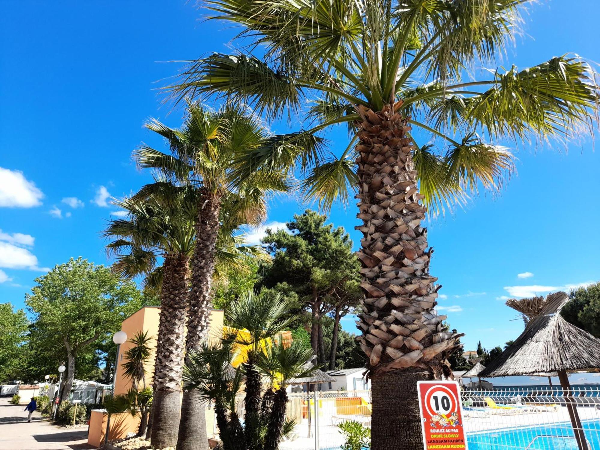 Camping Les Jardins D'Agathe - Maeva Le Grau-dʼAgde Buitenkant foto